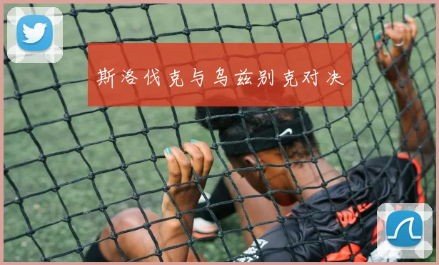 斯洛伐克与乌兹别克对决