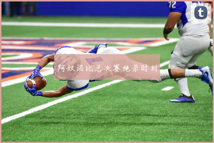 阿奴诺比总决赛绝杀时刻