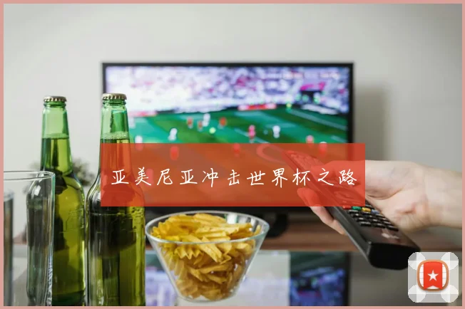 亚美尼亚冲击世界杯之路
