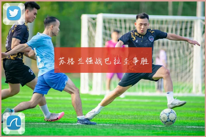 苏格兰强战巴拉圭争胜