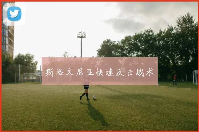 斯洛文尼亚快速反击战术