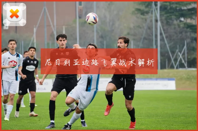 尼日利亚边路飞翼战术解析