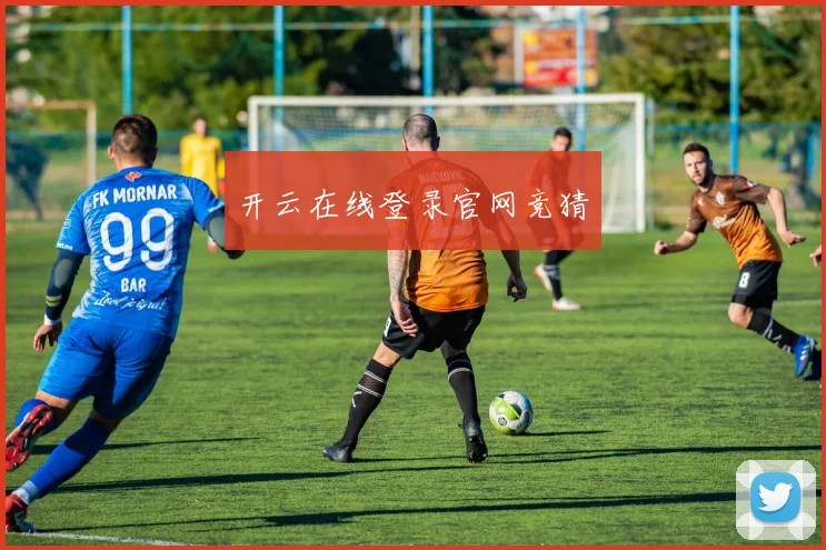 开云在线登录官网竞猜