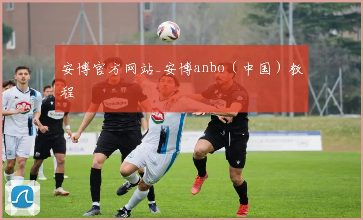 安博官方网站_安博anbo（中国）教程