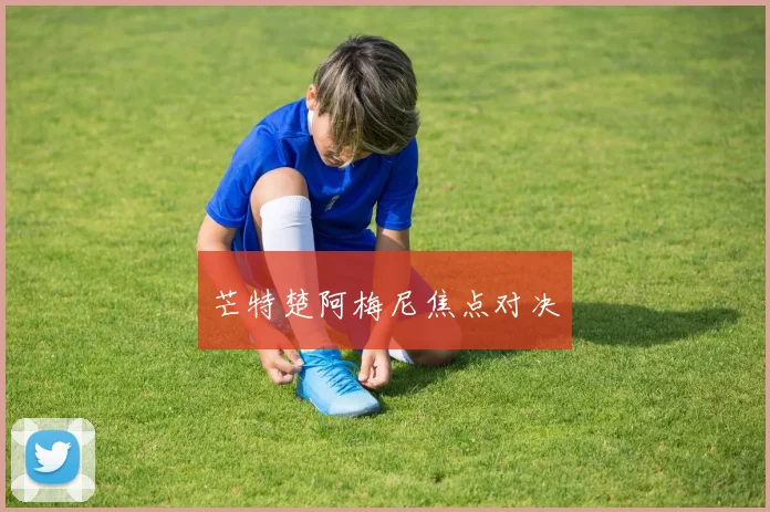 芒特楚阿梅尼焦点对决