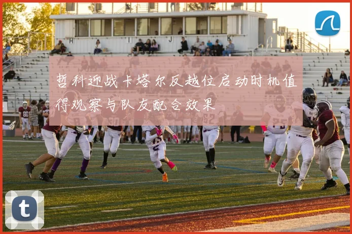 哲科迎战卡塔尔反越位启动时机值得观察与队友配合效果