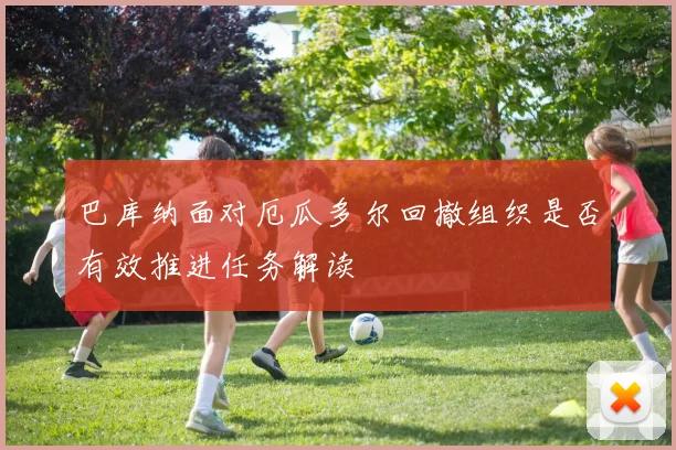 巴库纳面对厄瓜多尔回撤组织是否有效推进任务解读