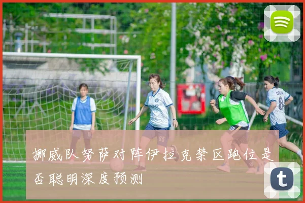 挪威队努萨对阵伊拉克禁区跑位是否聪明深度预测