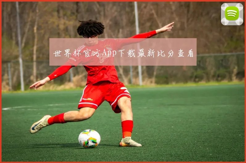 世界杯官方App下载最新比分查看