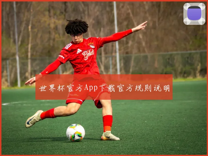 世界杯官方App下载官方规则说明